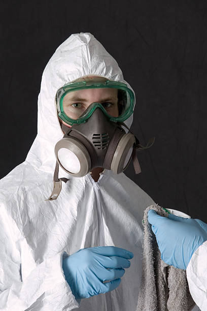 Mold Odor Removal Services in Parsons, KS